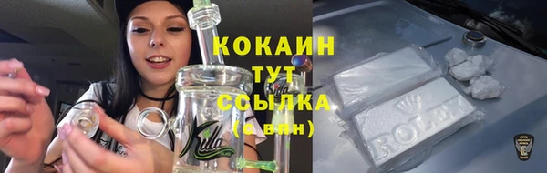 крисы Армянск