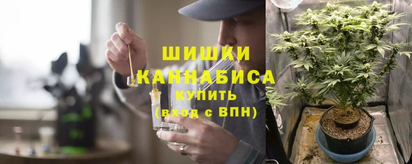 крисы Армянск
