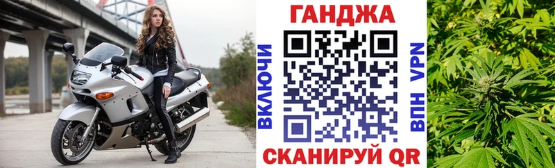 закладка  Сухиничи  Бошки марихуана планчик 